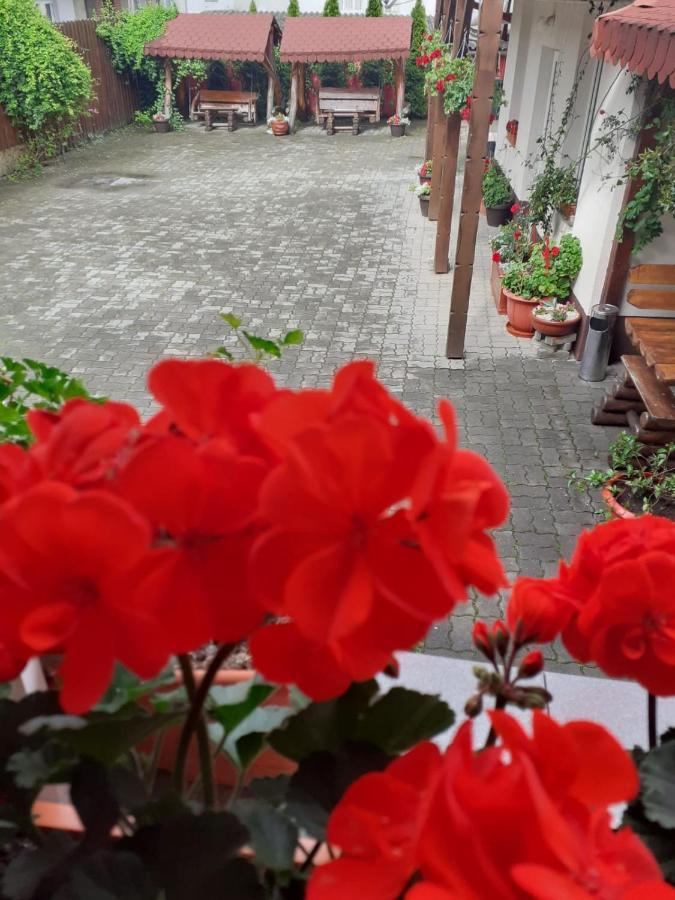 Mario 3* Sighisoara